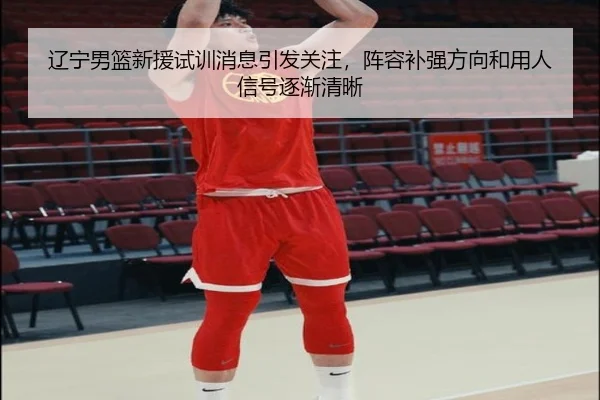 辽宁男篮新援试训消息引发关注，阵容补强方向和用人信号逐渐清晰（xingkongtiyu）